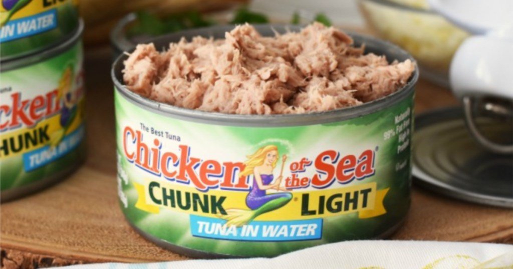 đá gà trực tiếp 369 thomo đá gà trực tiếp 369 thomo