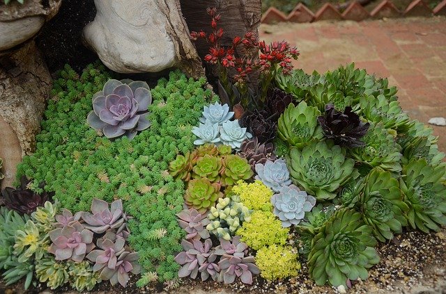 đá gà đòn hiểm ác nhất,Giới thiệu về trận đá gà đòn hiểm ác nhất đá gà đòn hiểm ác nhất,Giới thiệu về trận đá gà đòn hiểm ác nhất