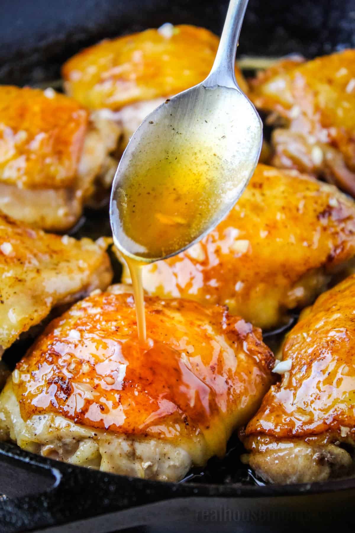 gà chọi đá mu lưng gà chọi đá mu lưng