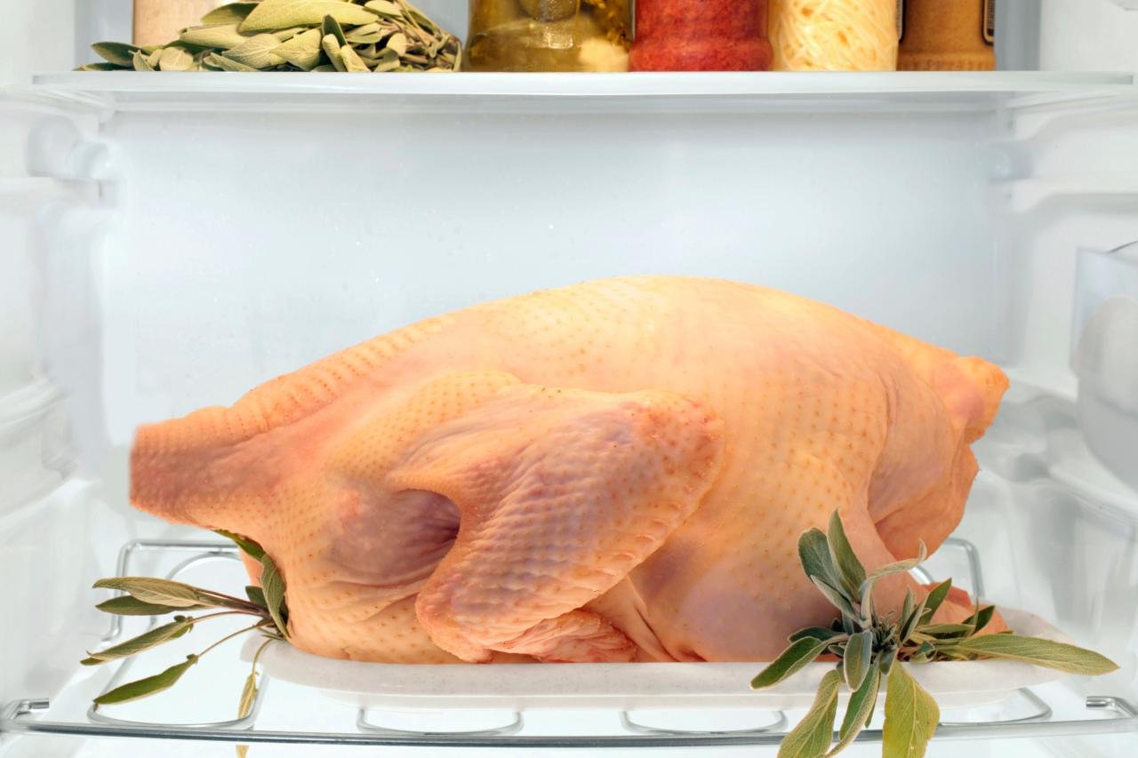 gà bị hóc khi đá,ĐAU ĐỚN KHÔNG NGỪNG: GÀ BỊ HÓC KHI ĐÁ – MỘT CÂU CHUYỆN THỰC TẾ gà bị hóc khi đá,ĐAU ĐỚN KHÔNG NGỪNG: GÀ BỊ HÓC KHI ĐÁ – MỘT CÂU CHUYỆN THỰC TẾ