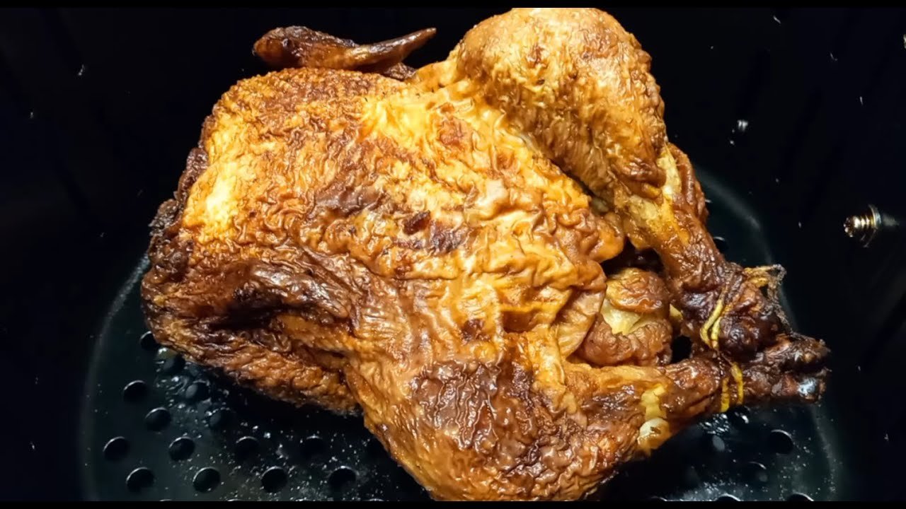 gà đá bị sưng chân gà đá bị sưng chân