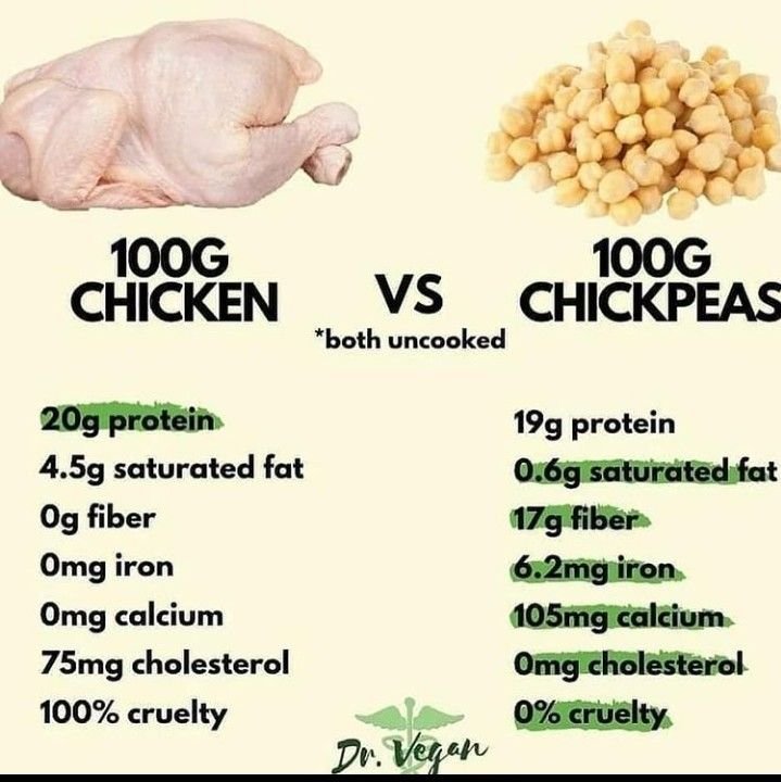 học như gà đá vách học như gà đá vách