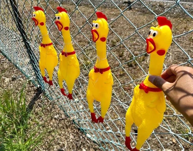 đá gà trực tiếp ngày 6 tháng 6 năm 2018 đá gà trực tiếp ngày 6 tháng 6 năm 2018