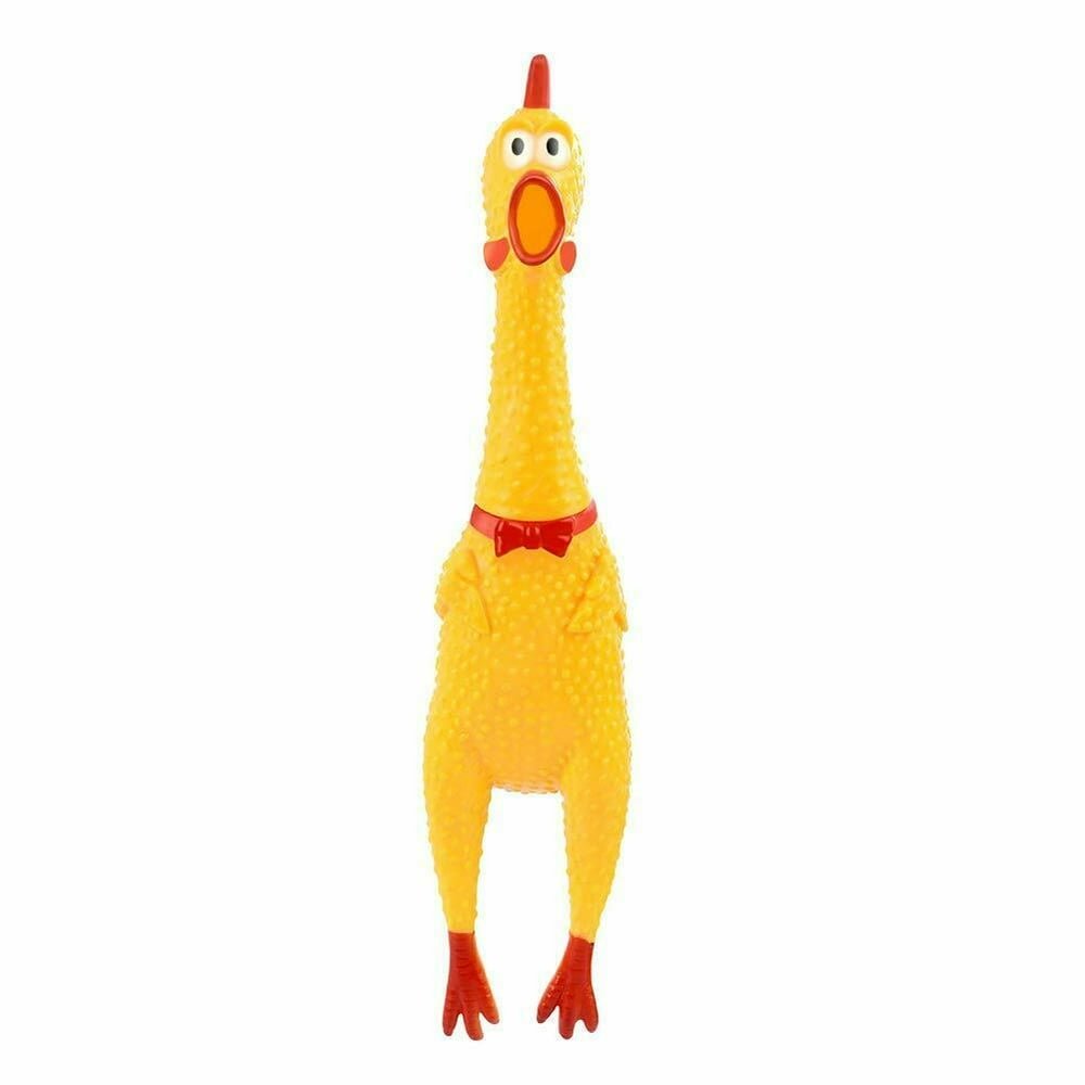 các trận đá gà trường gà 67 các trận đá gà trường gà 67