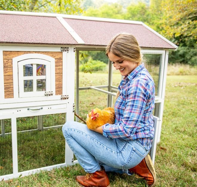 gà đá mé là như thế nào gà đá mé là như thế nào