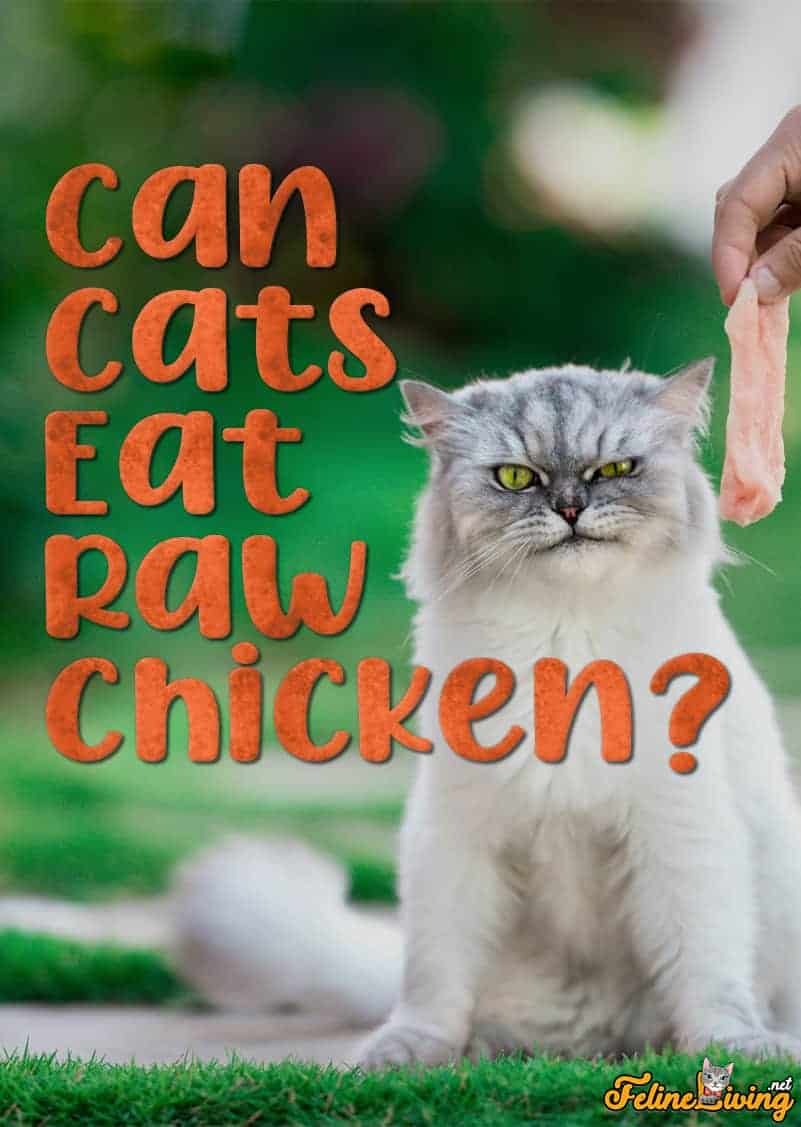 đá gà thợ mỏ,Đá Gà Thợ Mỏ: Sự Kết Hợp Độc Đáo Giữa Trò Chơi Đá Gà và Nghề Nghiệp Thợ Mỏ đá gà thợ mỏ,Đá Gà Thợ Mỏ: Sự Kết Hợp Độc Đáo Giữa Trò Chơi Đá Gà và Nghề Nghiệp Thợ Mỏ