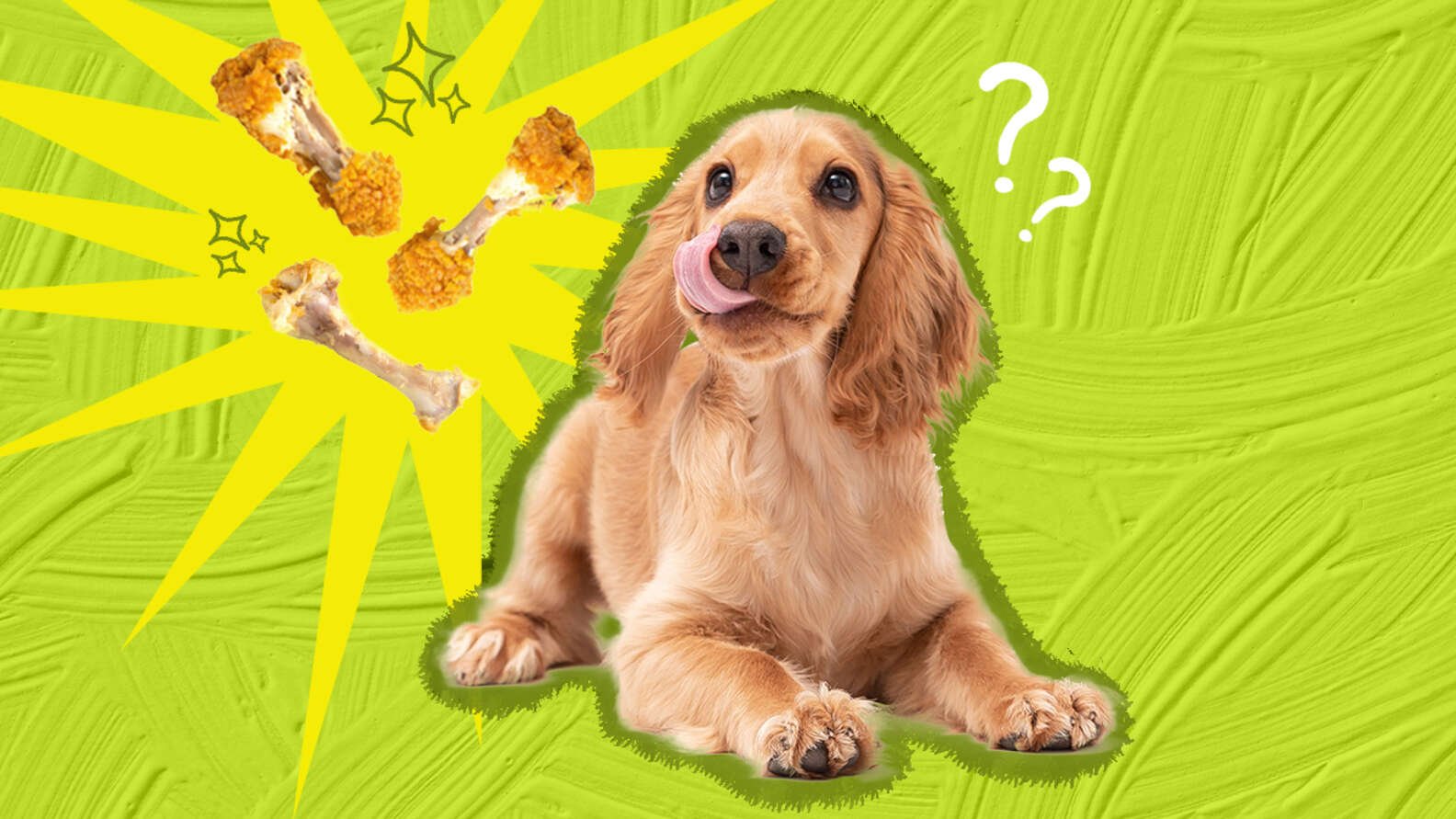 đá gà mỹ tho bị công an bắn đá gà mỹ tho bị công an bắn