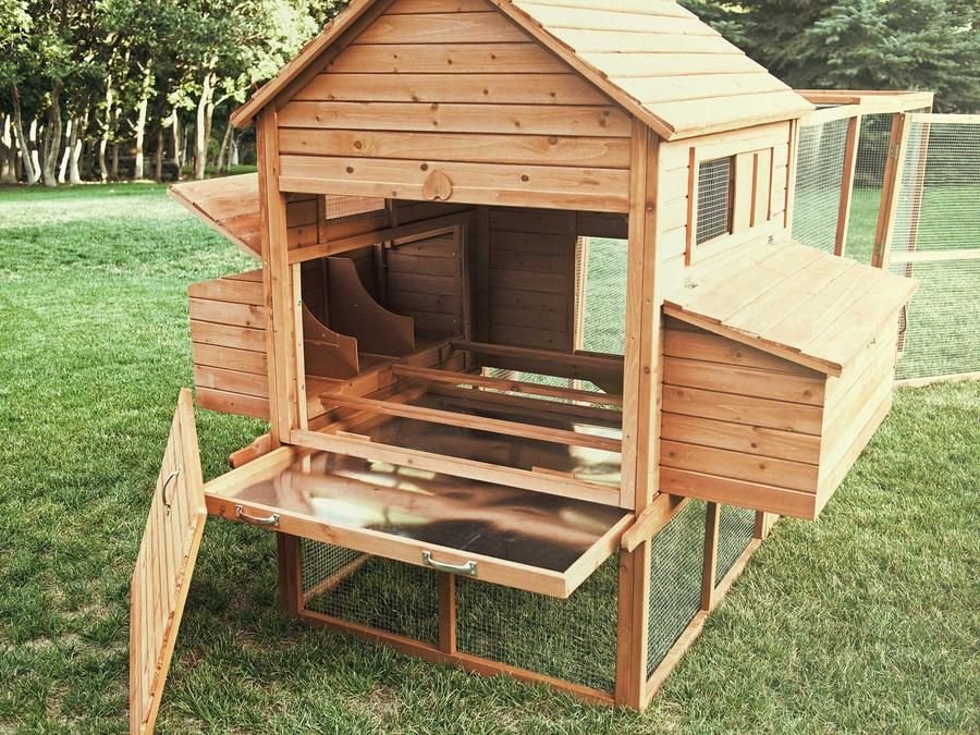 đá gà cựa sắt thomo mới nhất hôm nay đá gà cựa sắt thomo mới nhất hôm nay